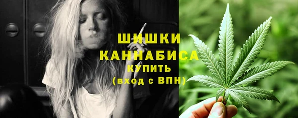 прущие грибы Белоозёрский