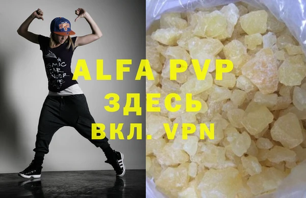 прущие грибы Белоозёрский