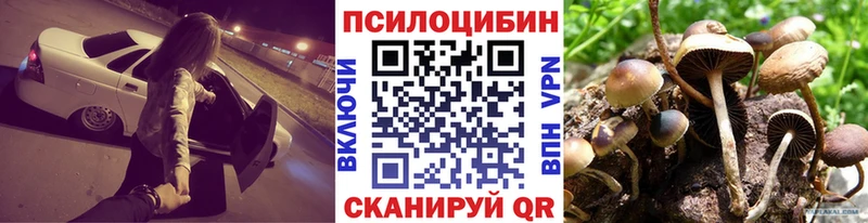 купить наркоту  мега tor  Псилоцибиновые грибы прущие грибы  Гулькевичи 