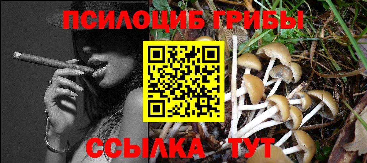 ТГК Гулькевичи