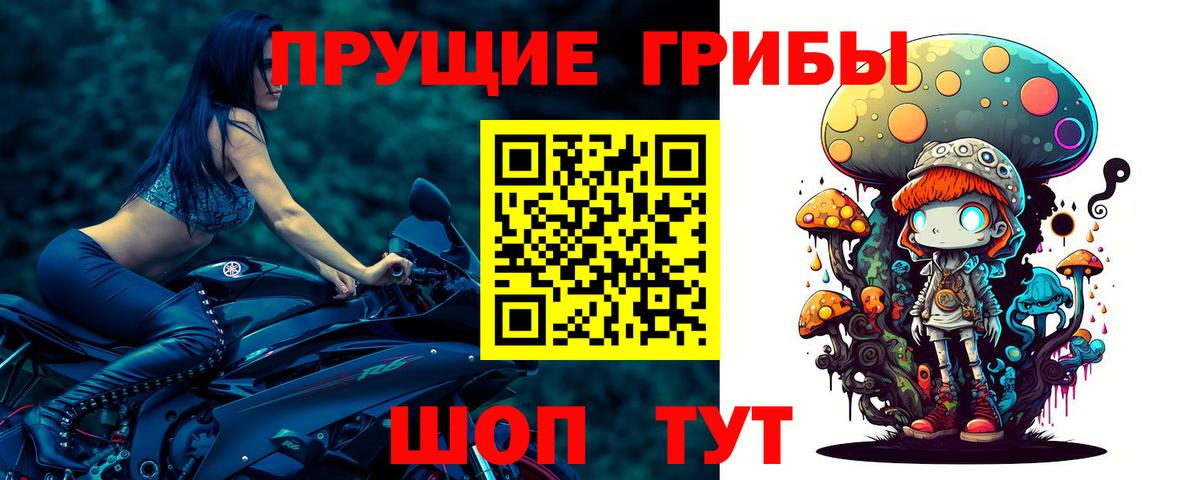 Псилоцибиновые грибы Psilocybine cubensis Гулькевичи