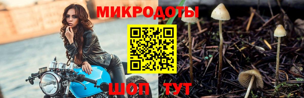 Псилоцибиновые грибы GOLDEN TEACHER  что такое наркотик  Гулькевичи  Вход с VPN  Галлюциногенные грибы мицелий 