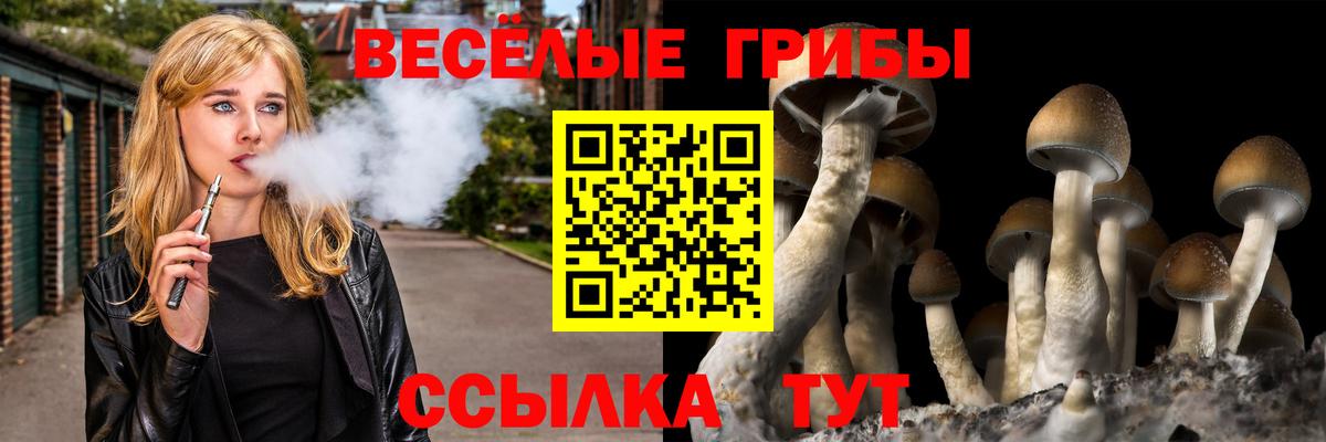 Псилоцибиновые грибы ЛСД  Гулькевичи 